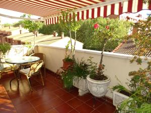 balcone con tavolo e piante in vaso di Pensión El Otero a Guadalajara