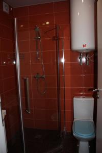 a bathroom with a shower and a toilet at Solnechny hotel in Dnipro