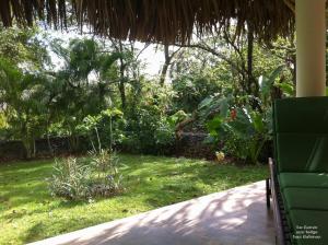 a porch with a lawn with a yard with plants at La Cueva Eco-Lodge in Las Galeras