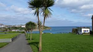 two palm trees in a park next to the ocean at Trevellis Bed and Breakfast in Newquay