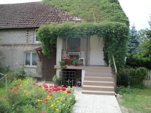 Vonkajšia záhrada v ubytovaní Zielony Raj + 11 fotografií
