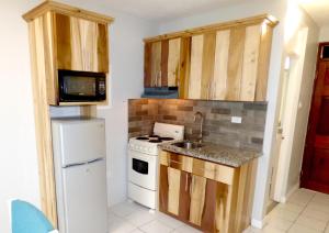 a small kitchen with a stove and a microwave at Beach Studio 4 in Ocho Rios