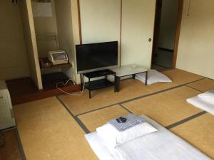 TV tai viihdekeskus majoituspaikassa Business Hotel Matsuoka