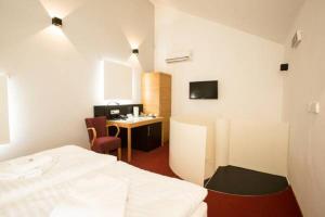 Televízia a/alebo spoločenská miestnosť v ubytovaní Hotel Purkmistr