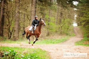 a person riding a horse on a dirt road at Lord Byron Lodge in Blidworth