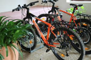 Jazda na bicykli v okolí ubytovania Biohof Schmiedbauer