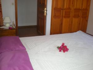 Postel nebo postele na pokoji v ubytování Patmos Garden Sea