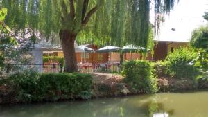 a tree and tables and chairs next to a river at Logis Auberge le petit pont in Tennie