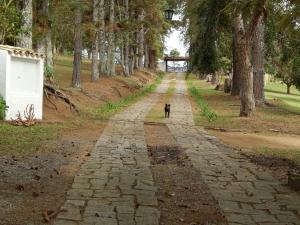 Foto da galeria de Chalé na Montanha em Cunha