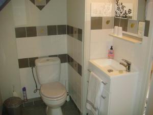 ein kleines Badezimmer mit Toilette und Waschbecken in der Unterkunft Chambres La Guéjaillière in Beaumont-Pied-de-Boeuf + 23 Fotos