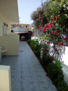 アギオス・ゲオルギオスにあるTony's Apartmentsの赤い花と散歩道のある庭園