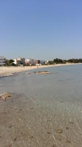 a view of a beach with the water at Nineta's House Sea View near the Airport in Artemida +19 photos