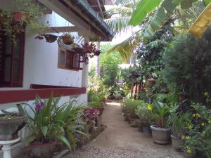 a garden with potted plants on the side of a building at Gem Villa in Weligama