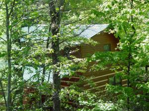 Gallery image of Mountain Laurel - Log Cabin near creek - minutes to Boone, NC in Purlear