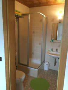 a bathroom with a shower and a toilet and a sink at Alexander´s Ferienwohnungen in Gerlingen +21 photos