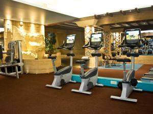 托基TLH Carlton Hotel - TLH Leisure, Entertainment and Spa Resort的拥有多台跑步机和有氧运动器械的健身房