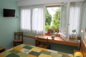 Un pat sau paturi într-o cameră la Hôtel Le Lyon Bron