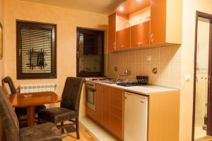 Kuchyň nebo kuchyňský kout v ubytování Guest House Vila Bajka