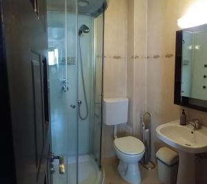 a bathroom with a shower and a toilet and a sink at Snow Residence Azuga in Azuga