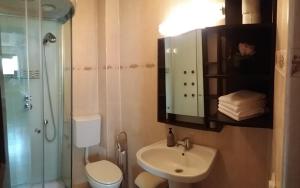 a bathroom with a sink and a shower and a toilet at Snow Residence Azuga in Azuga