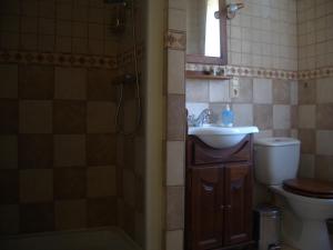 a bathroom with a sink and a shower and a toilet at As Jarras in Cedeira
