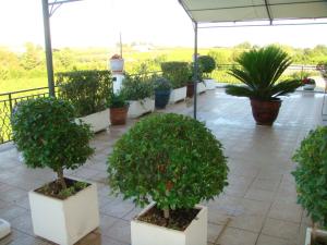 A garden outside B&B Costa D'Abruzzo