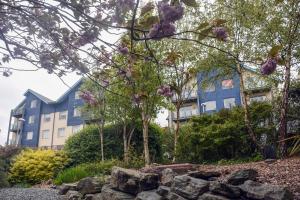 a blue building with trees and rocks in front of it at Parc y Bryn Serviced Apartments in Aberystwyth