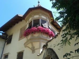 un edificio con una finestra con fiori rosa di Ansitz Strengherrnhof a Caldaro