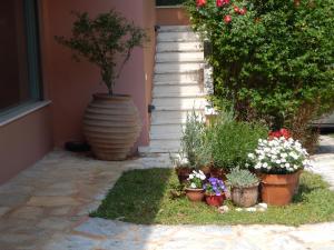 a garden with flowers in pots on the grass at Slow living beautiful villa in Rafina