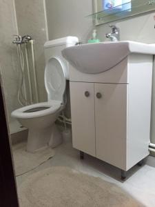 Vonios kambarys apgyvendinimo įstaigoje Apartament Larisa