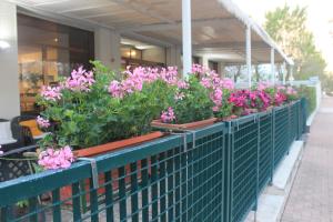 Zahrada ubytování Hotel Mare