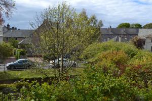 a tree in a yard with buildings in the background at The Spindle Guest Rooms in St Andrews