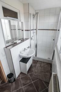 La salle de bains est pourvue d'un lavabo et d'une douche. dans l'établissement Ferienwohnung mit Fernblick, à Kohlberg