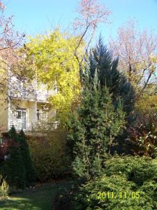 Giardino di Hotel Arnold