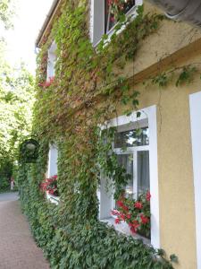 Giardino di Hotel Arnold