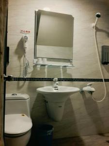 台東市的住宿－台東愛琴海民宿-寶莉館，一间带卫生间、水槽和镜子的浴室