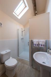 a bathroom with a toilet and a sink and a shower at Cart Shed Cottage in Newport
