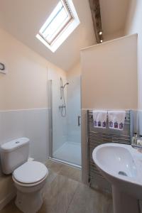 e bagno con servizi igienici, lavandino e doccia. di Cart Shed Cottage a Newport