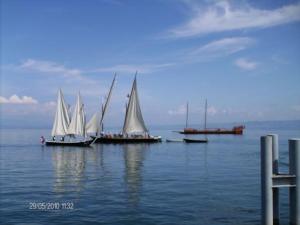 un grupo de barcos flotando en el agua en Le bois ramé en Neuvecelle