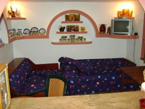 a living room with a couch and a tv at Casa de Vacanta Pravdencu in Mahmudia