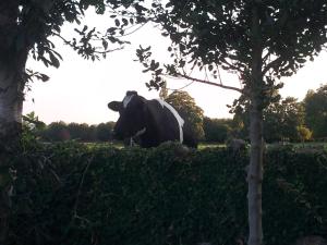 Afbeelding uit fotogalerij van Bishops Farm in Thornbury