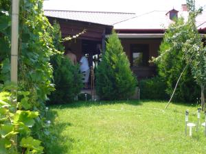Una casa con un patio con árboles y gente en él. en Casa de Vacanta Pravdencu, en Mahmudia
