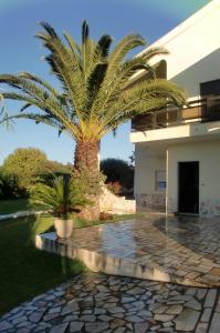 a palm tree in front of a house at Quinta da Harmonia in Azeitao