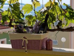 una cesta de vino y plantas en el alféizar de la ventana en Apartments Anita - Punta Skala, en Petrčane