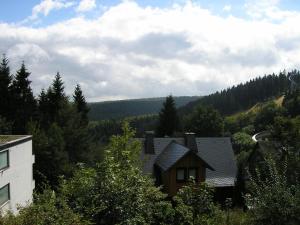 ein Haus inmitten eines Hügels mit Bäumen in der Unterkunft First Class Residence in Winterberg