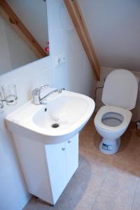 a bathroom with a white sink and a toilet at PribaltDom in Jūrmala +22 photos