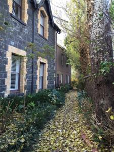 un callejón frente a un edificio con hojas en el suelo en Garden Cottage St Kilda en Melbourne