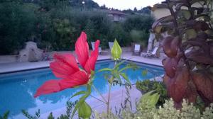 The swimming pool at or close to Bed and Breakfast Posserle