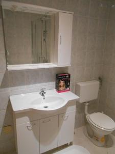 een badkamer met een witte wastafel en een toilet bij Apartman Gabi in Kastav