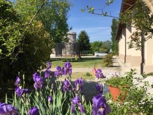 Zahrada ubytování B&B Cascina Sagrestia